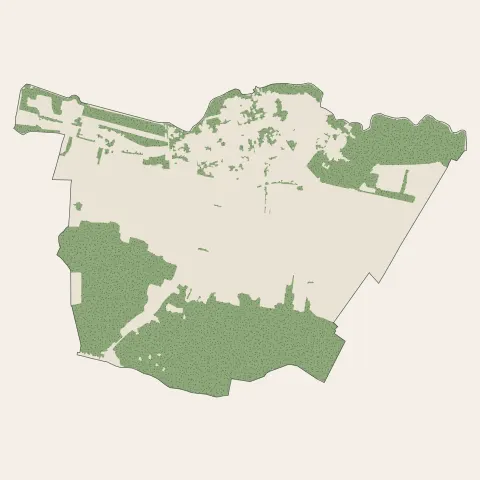 Bouray-sur-Juine : bois, forêts et landes