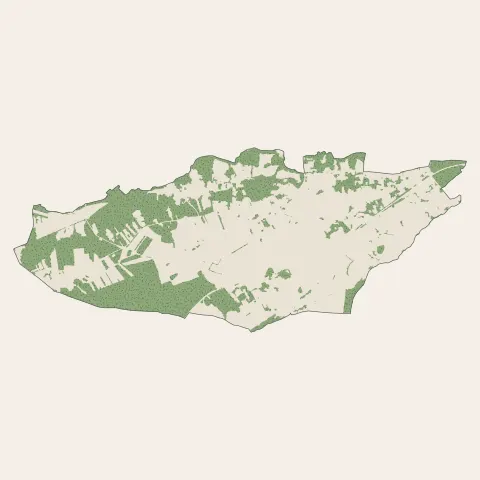 Breuillet : bois, forêts et landes