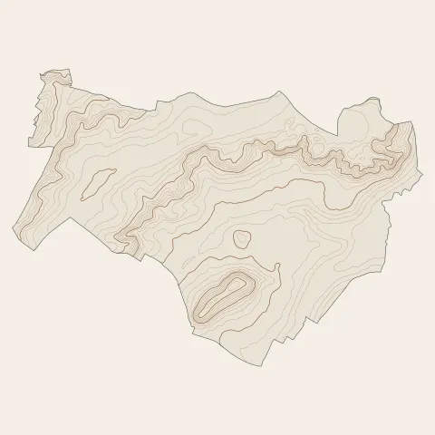 Cerny : courbes de niveau