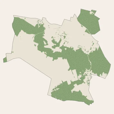 Champcueil : bois, forêts et landes