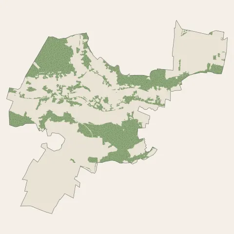 Gif-sur-Yvette : bois, forêts et landes
