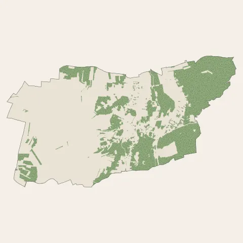 Maisse : bois, forêts et landes