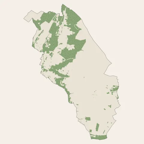 Morigny-Champigny : bois, forêts et landes