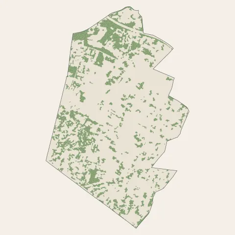 Morsang-sur-Orge : bois, forêts et landes