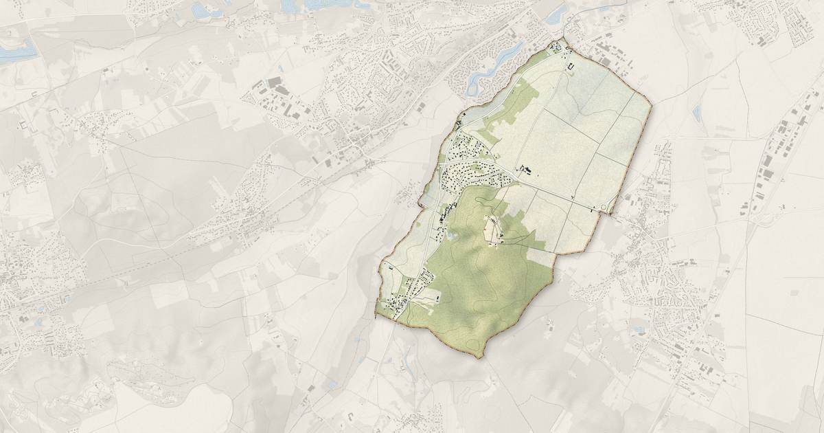Portrait cartographique de Saint-Yon : relief, eau, forêts, bâti et voies, calculés à partir des données de l'IGN