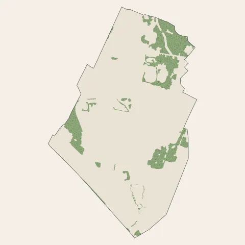Villetaneuse : bois, forêts et landes
