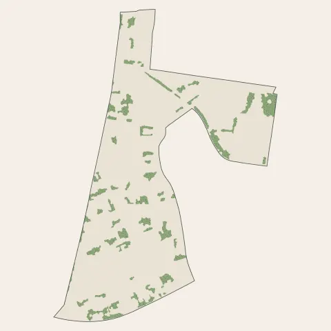 Saint-Mandé : bois, forêts et landes