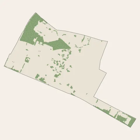 Beauchamp : bois, forêts et landes