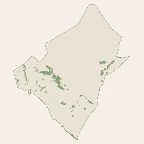 Ézanville : bois, forêts et landes