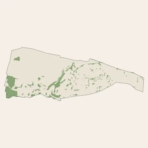 Fosses : bois, forêts et landes
