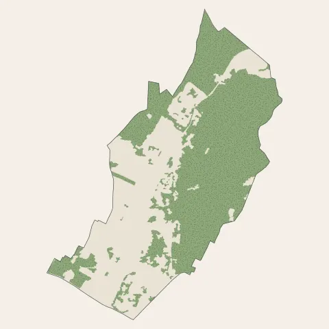 Montlignon : bois, forêts et landes