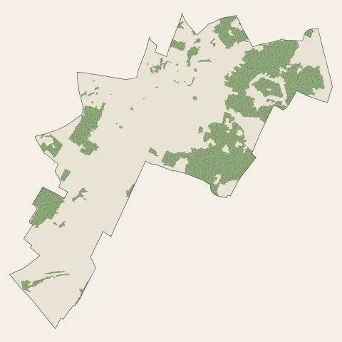 Montmagny : bois, forêts et landes
