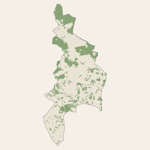 Montmorency : bois, forêts et landes