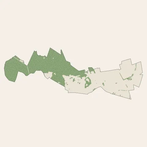 Montsoult : bois, forêts et landes