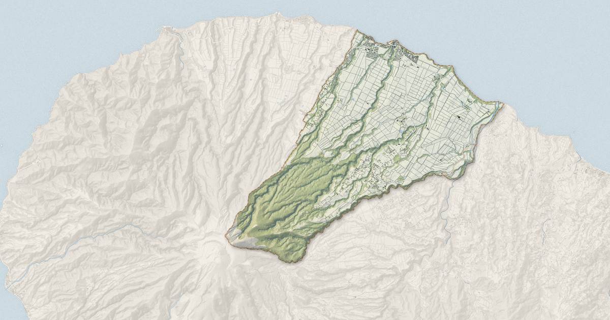 Portrait cartographique de Basse-Pointe : relief, eau, forêts, bâti et voies, calculés à partir des données de l'IGN