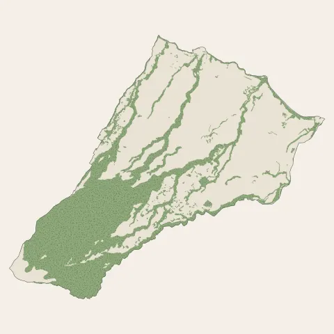 Basse-Pointe : bois, forêts et landes