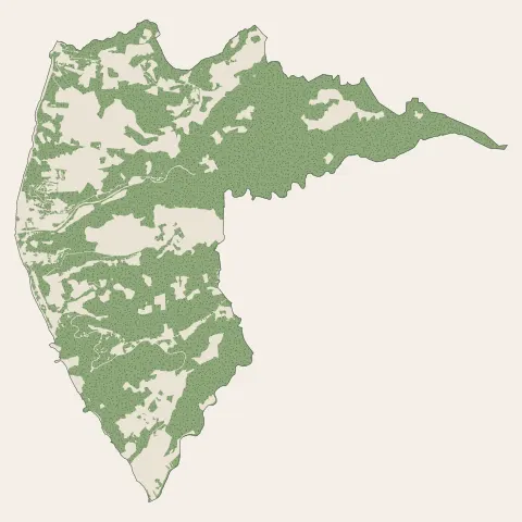 Le Carbet : bois, forêts et landes