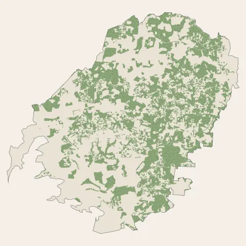 Ducos : bois, forêts et landes