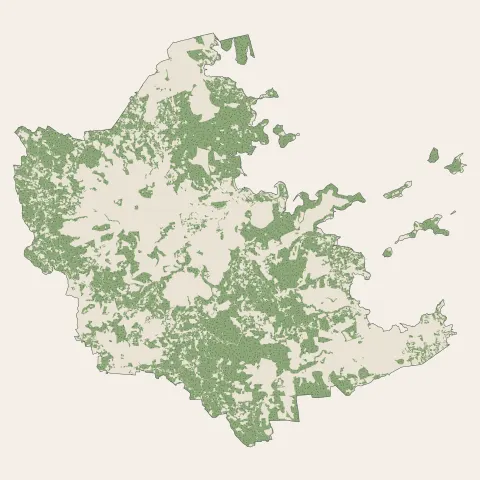 Le François : bois, forêts et landes