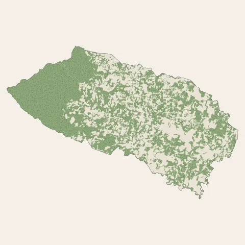 Gros-Morne : bois, forêts et landes