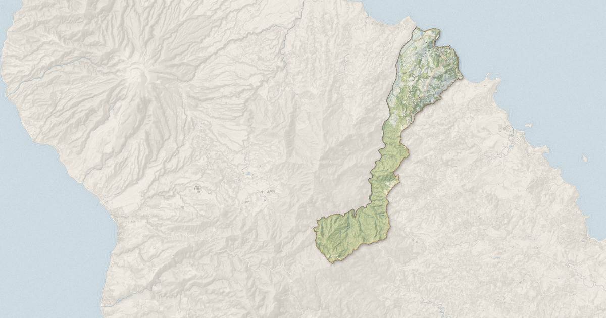 Portrait cartographique de Le Marigot : relief, eau, forêts, bâti et voies, calculés à partir des données de l'IGN