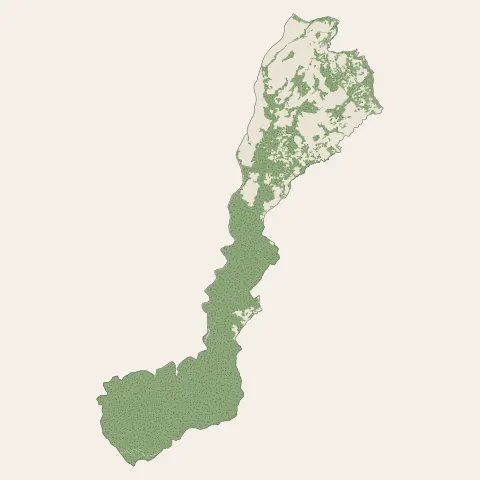 Le Marigot : bois, forêts et landes