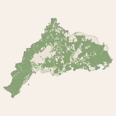 Le Marin : bois, forêts et landes