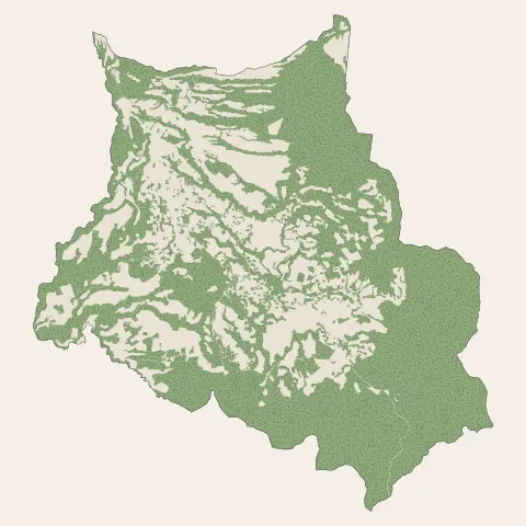 Le Morne-Rouge : bois, forêts et landes