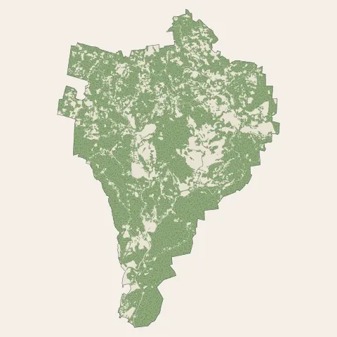 Rivière-Pilote : bois, forêts et landes