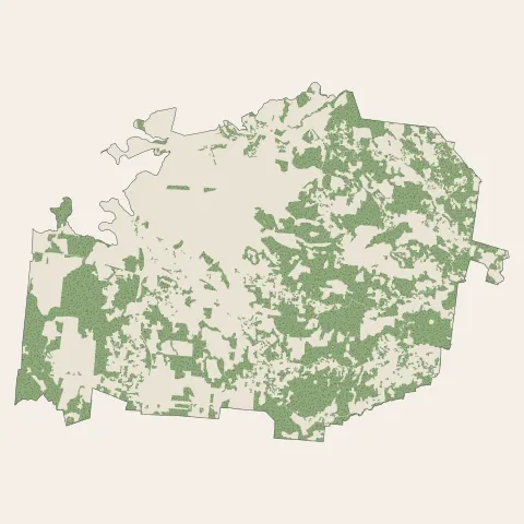 Rivière-Salée : bois, forêts et landes