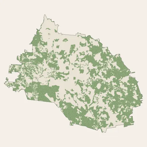 Saint-Esprit : bois, forêts et landes