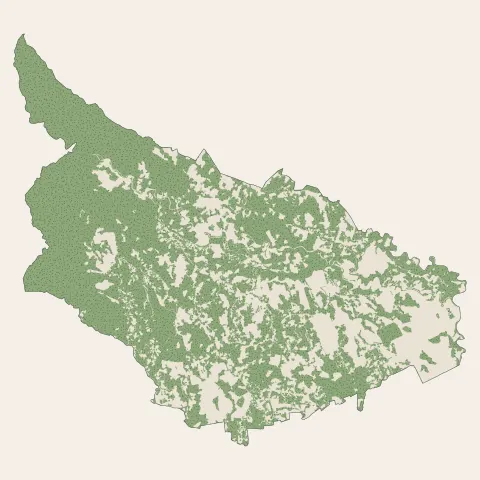 Saint-Joseph : bois, forêts et landes
