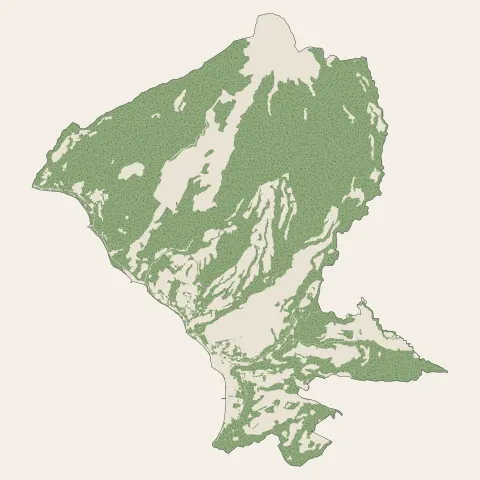 Saint-Pierre : bois, forêts et landes
