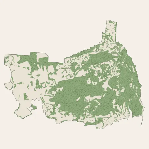 Sainte-Luce : bois, forêts et landes