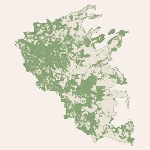 Le Vauclin : bois, forêts et landes