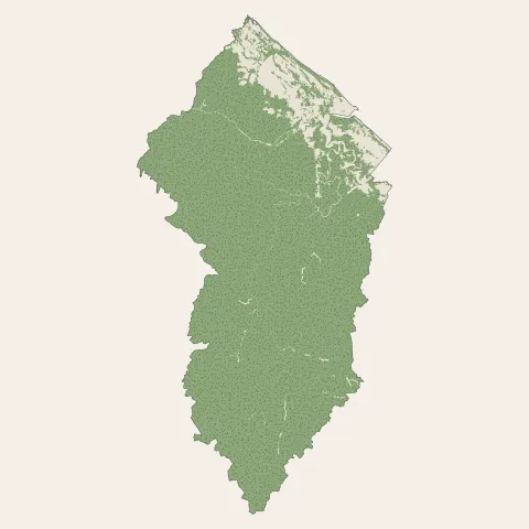 Kourou : bois, forêts et landes