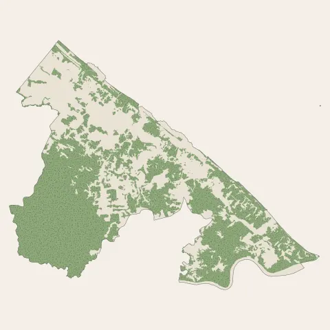 Macouria : bois, forêts et landes