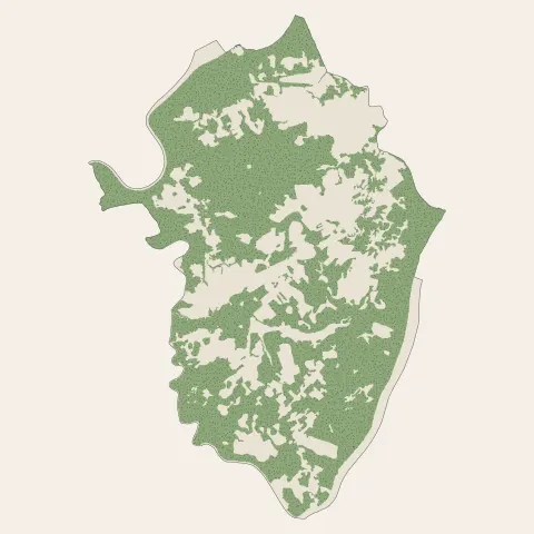 Matoury : bois, forêts et landes
