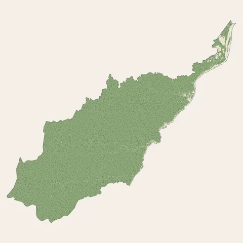 Saint-Georges : bois, forêts et landes
