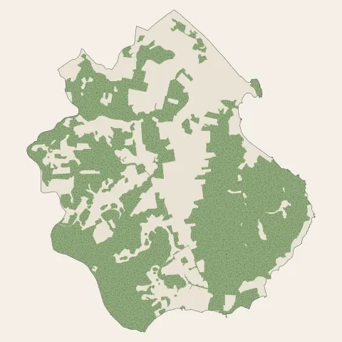 Remire-Montjoly : bois, forêts et landes