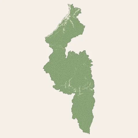 Saint-Laurent-du-Maroni : bois, forêts et landes