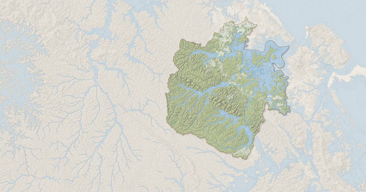 Portrait cartographique de Montsinéry-Tonnegrande : relief, eau, forêts, bâti et voies, calculés à partir des données de l'IGN