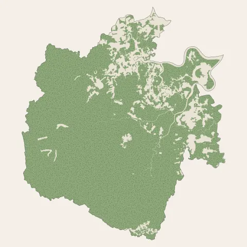 Montsinéry-Tonnegrande : bois, forêts et landes