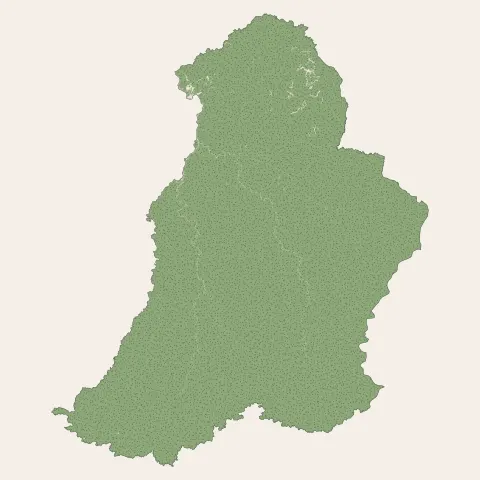 Maripasoula : bois, forêts et landes