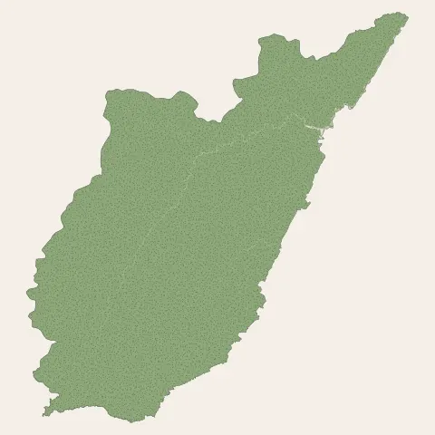 Camopi : bois, forêts et landes