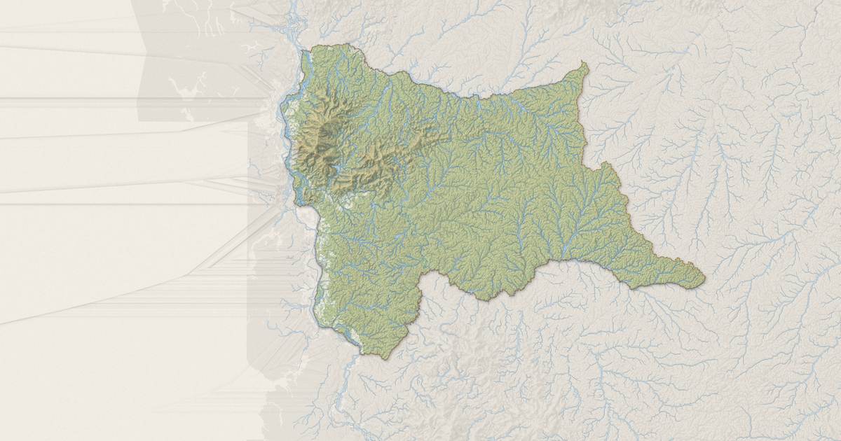 Portrait cartographique de Grand-Santi : relief, eau, forêts, bâti et voies, calculés à partir des données de l'IGN