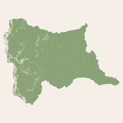 Grand-Santi : bois, forêts et landes