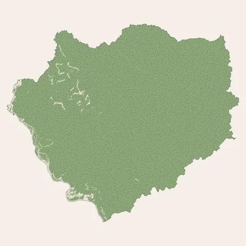 Papaichton : bois, forêts et landes