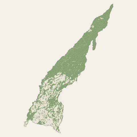 Les Avirons : bois, forêts et landes