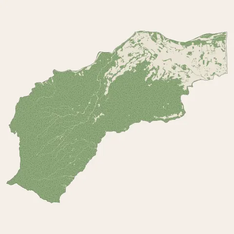 Bras-Panon : bois, forêts et landes
